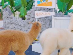 -Blue Concept Cafe&Farm·關於藍