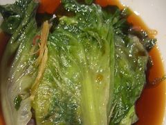 -老阿妈蒙古村·蒙古包·草原文化·歌舞表演(老君堂店)