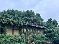 -中国茶叶博物馆(双峰馆区)