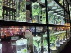 -广东中医药博物馆