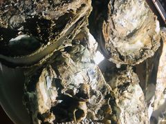-八一湛江生蚝(文明东路总店)