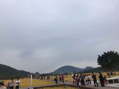 -艾米稻香小镇