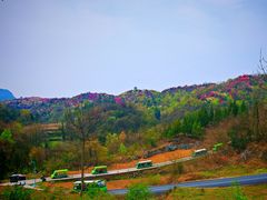 -贵州百里杜鹃风景名胜区