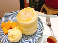 -王守财小山園