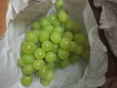 -马陆小张葡萄园农家乐