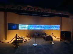 -茯茶镇