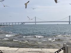 -星海湾跨海大桥