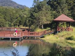 -海南热带雨林国家公园吊罗山景区