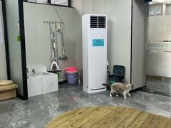 -东莞宠友24H宠物中心医院·转诊夜诊·异宠(新河北路院)