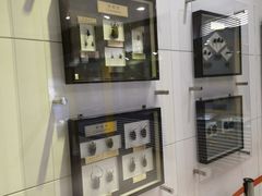 -上海昆虫博物馆