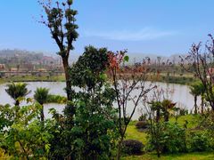 -枫香湖儿童公园