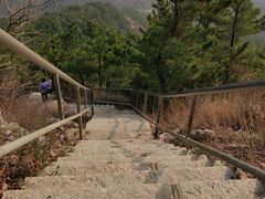 -金龙寺国家森林公园