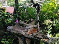 -自然餐厅(Phuket)