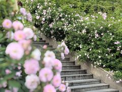 -UNIUNI(凯瑟琳广场店)