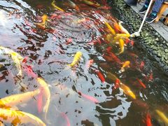 -成飞公园