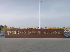 -金塔沙漠胡杨林景区