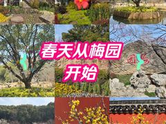 -无锡梅园公园