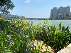 -光明港公园
