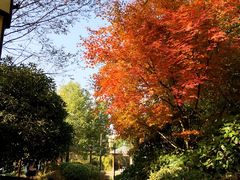 -深业半汤御泉庄温泉