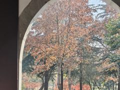 -狼山风景名胜区