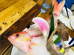 -無鱼鳞比