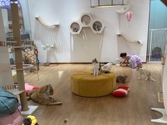 -1013 PET SHOP精品宠物商店(丁香店)