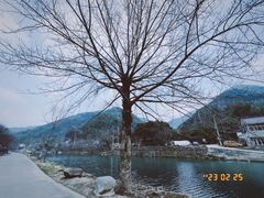 -鹿亭中村