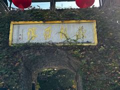 -藏龙百瀑风景区