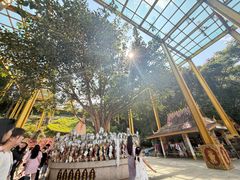 -西双版纳勐泐文化旅游区