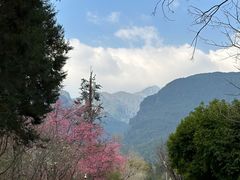 -天龙八部武侠城