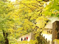 -南岳衡山风景名胜区