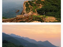 -杨梅坑