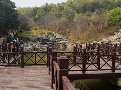 -北京西山国家森林公园