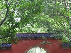 -灵谷景区