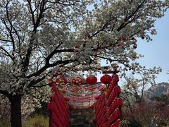 -崂山仰口游览区