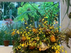 -自由生长植物工作室(深港花卉中心店)