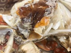 -北塘海鲜·天津菜(大光明桥旗舰店)