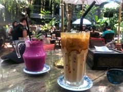 SweetBerry-Fern Forest Cafe