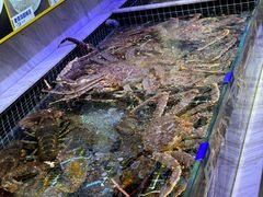 -开海·红岛海鲜虾水饺(石老人店)