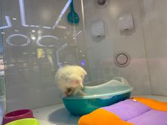 -龟与熊猫宠物公园(南坪店)