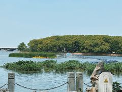 -上海美帆帆船露营基地