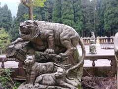 -武陵山森林公园