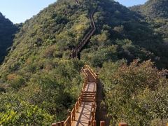 -大岭沟猕猴桃谷风景区
