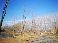 -东郊湿地公园