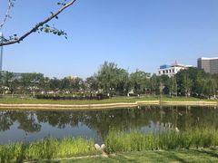 -西海子公园