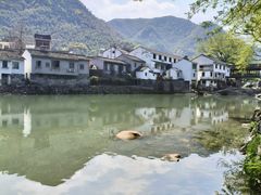 -鹿亭中村