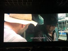 -幸福蓝海国际影城(兴化海德店)