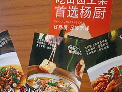 -杨厨的田园饭店(长城路店)