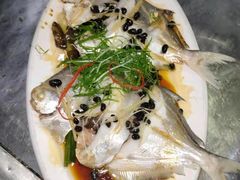 蒸白昌鱼-钱山海鲜大排档
