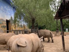 -西安秦岭野生动物园